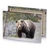 a bear walking on rocky hillside smoky black canvas - Image 4