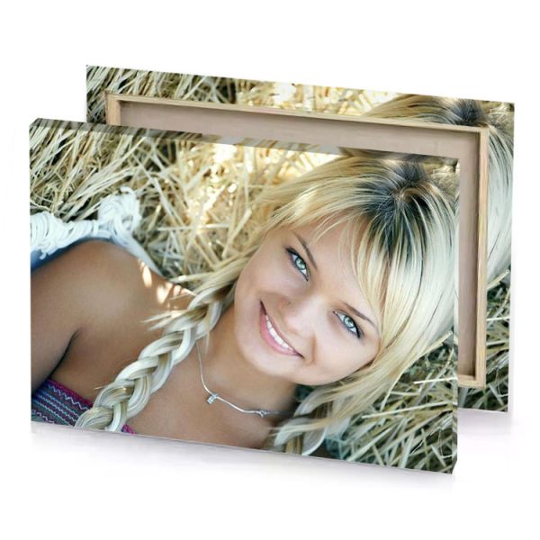 a beautiful blonde girl laying on hay rosy brown canvas - Image 4