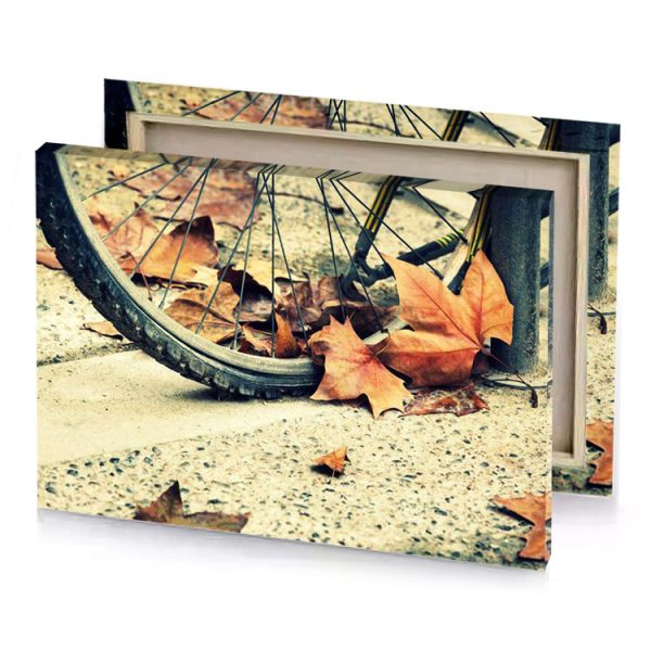 a bicycle wheel with tire and some leaves pearl canvas - Image 4