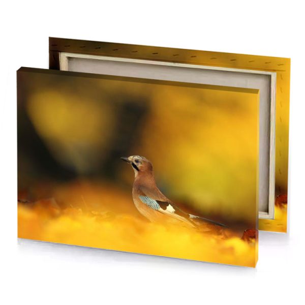 a bird is sitting on the ground in fall dark golden rod canvas - Image 4