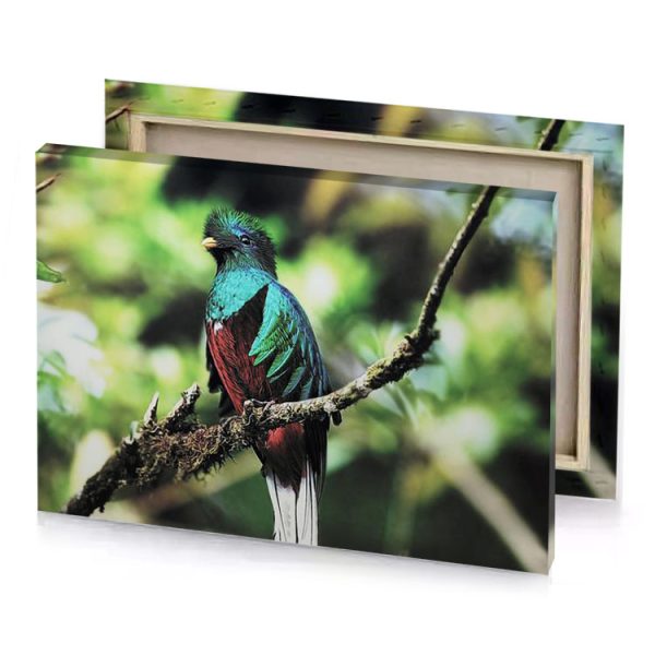 a bird sitting on branch sage canvas - Image 4