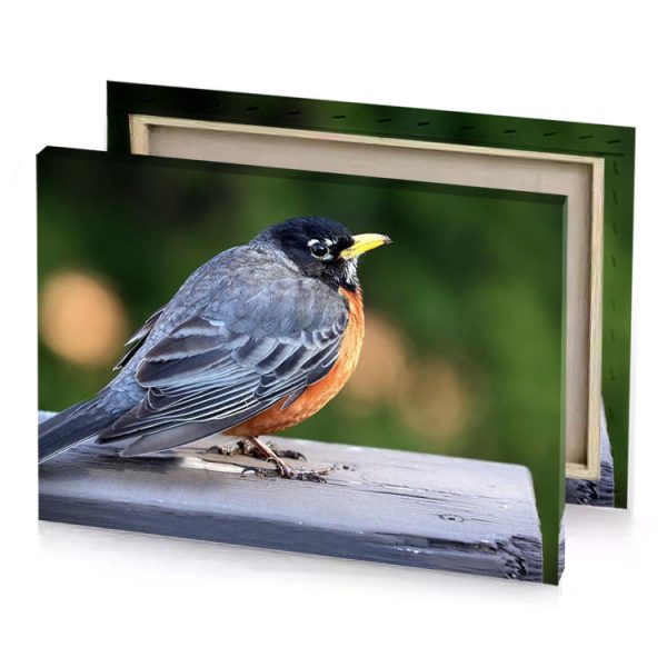 a bird sitting on wooden post slate gray canvas - Image 4