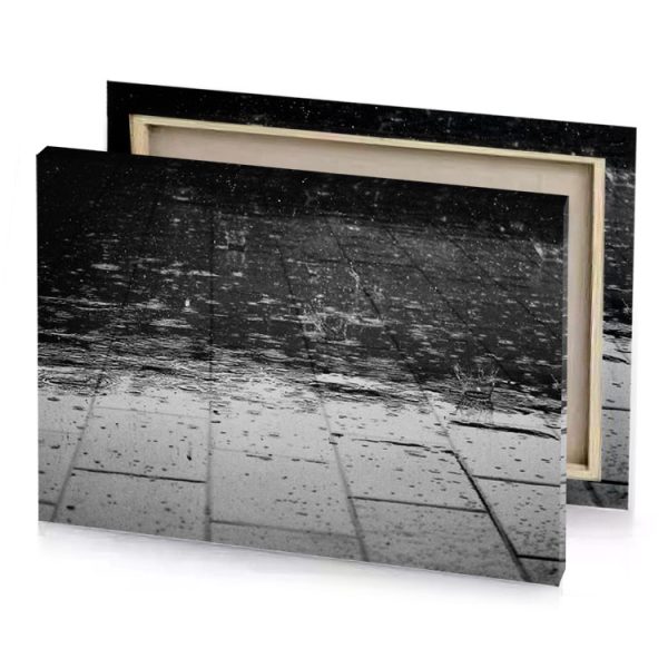 a black and white photo of puddle silver canvas - Image 4
