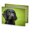 a black dog with green background dark khaki canvas - Image 4