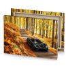 a black mclaren driving down road in the woods peru canvas - Image 4