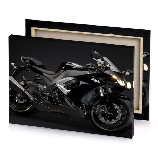 a black motorcycle is shown in the dark taupe canvas - Image 4