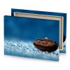 a chocolate cookie with water droplets on it blue sapphire canvas - Image 4