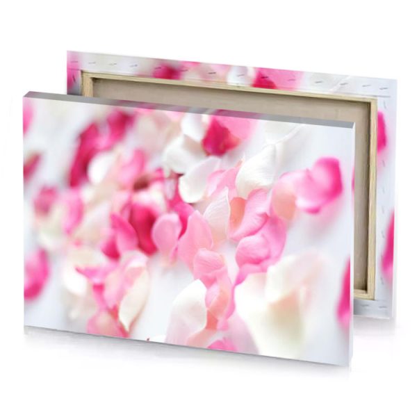 a close up of pink petals on white background cherry blossom canvas - Image 4