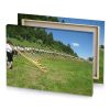 a group of people standing around long line pipes olive drab canvas - Image 4