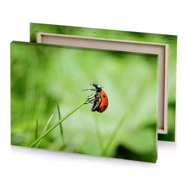 a lady bug on blade of grass dark sea green canvas - Image 4