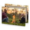 a man and woman sitting next to fire dark olive green canvas - Image 4