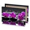 a purple orchid sits on black rock dark magenta canvas - Image 4