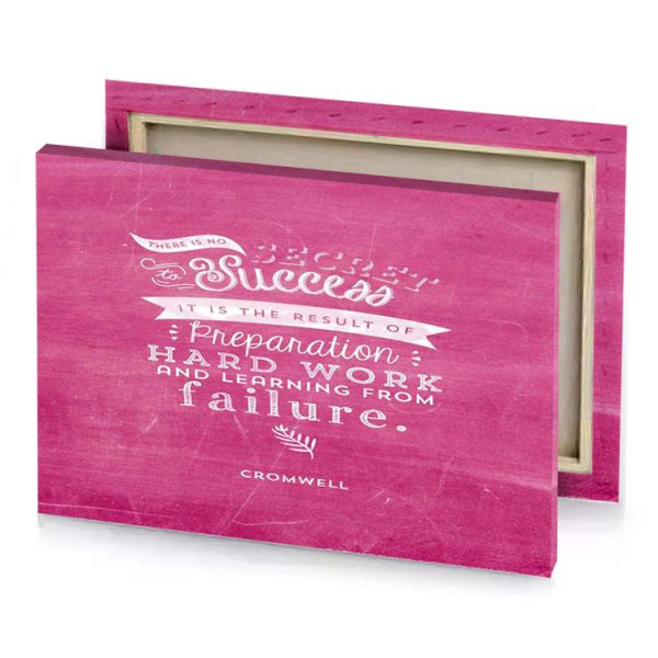 a quote on pink background with the words there is pale violet red canvas - Image 4