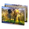 a rainbow sienna canvas - Image 4