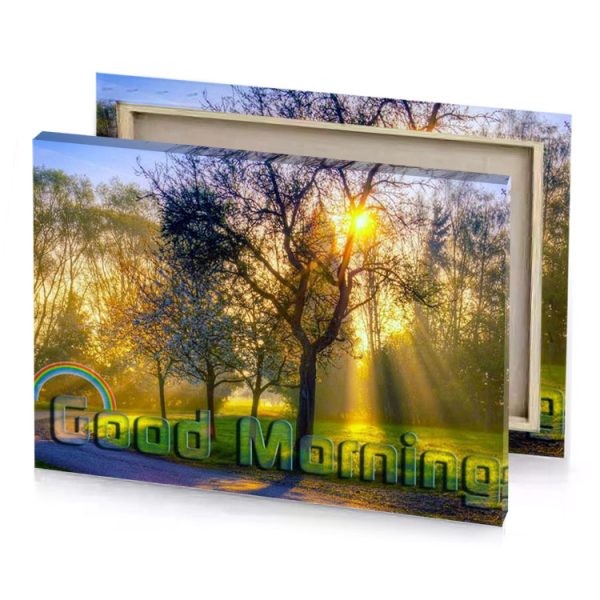 a rainbow sienna canvas - Image 4