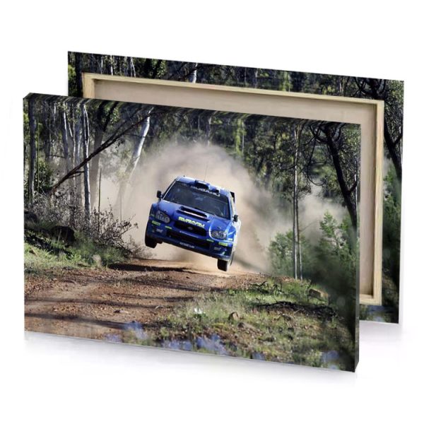 a rally car is going through the forest silver canvas - Image 4