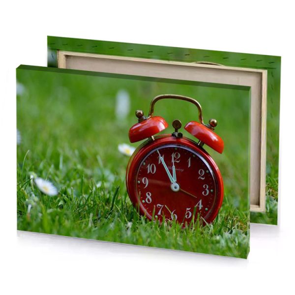 a red alarm clock sitting in the grass bistre canvas - Image 4