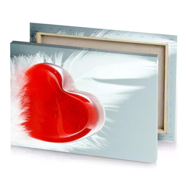 a red heart with white feathers on gray background lust canvas - Image 4
