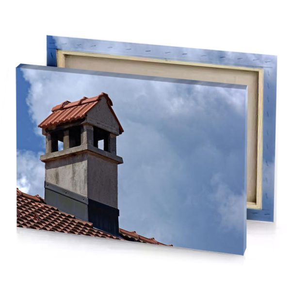 a red tiled roof manatee canvas - Image 4