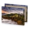 a river running through forest filled with trees sepia canvas - Image 4