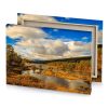 a river surrounded by trees and grass tan canvas - Image 4