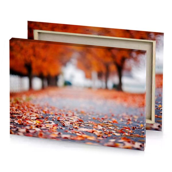 a road with lots of leaves on it silver canvas - Image 4