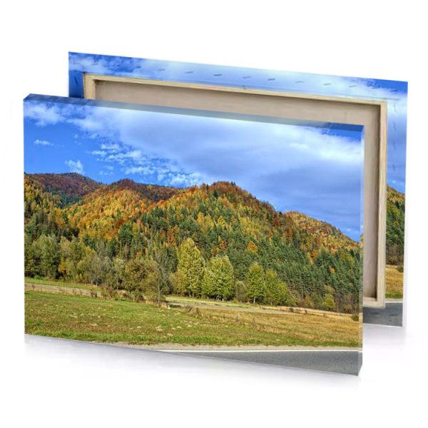 a road with sign on it in front of forest olive drab canvas - Image 4