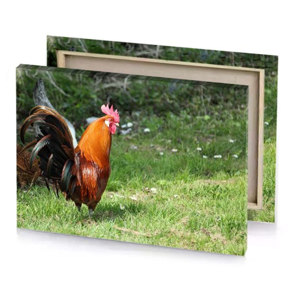 a rooster and chicken are walking in the grass carrot orange canvas - Image 4