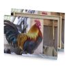 a rooster standing on wooden bench sepia canvas - Image 4