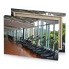 a row of stationary bikes in gym manatee canvas - Image 4