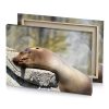 a seal laying on rock camouflage green canvas - Image 4