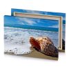 a seashell on the beach maroon canvas - Image 4