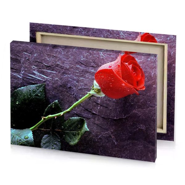a single red rose with water droplets on it dark canvas - Image 4