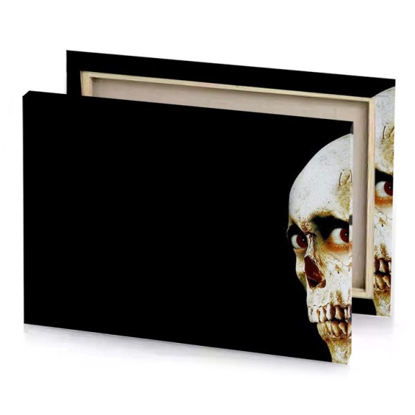 a skull with black background silver canvas - Image 4