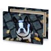 a small dog with collar on black surface light steel blue canvas - Image 4