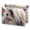 a small dog with long hair and white shirt rose quartz canvas - Image 4