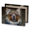 a small dog with long hair sitting on floor garnet canvas - Image 4