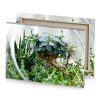 a small plant in glass container platinum canvas - Image 4