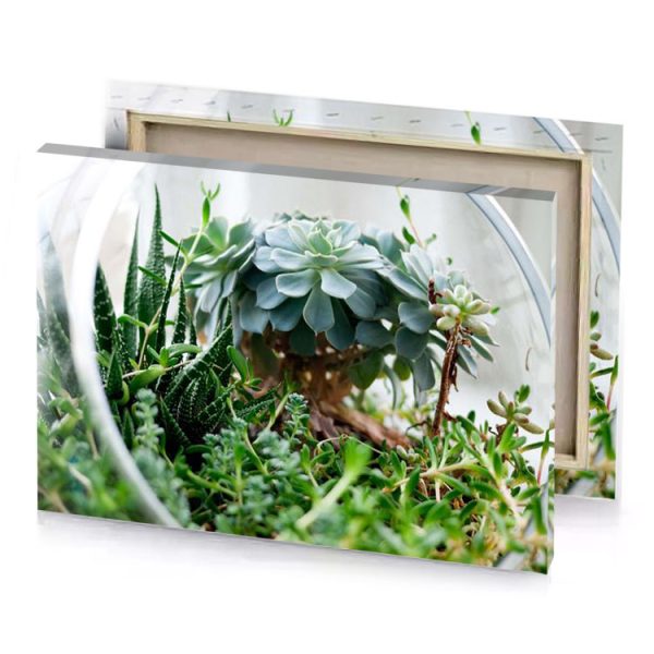 a small plant in glass container platinum canvas - Image 4