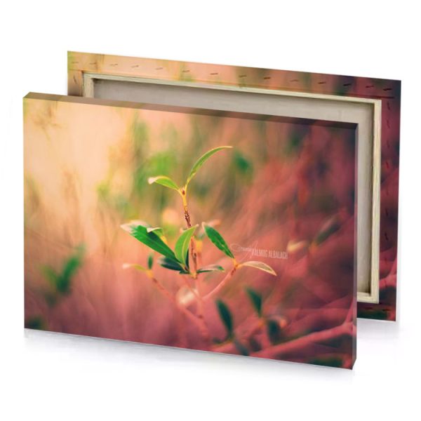 a small plant in the middle of field taupe canvas - Image 4