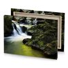 a small stream in the woods with moss growing on yellow green canvas - Image 4
