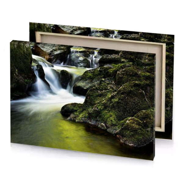 a small stream in the woods with moss growing on yellow green canvas - Image 4