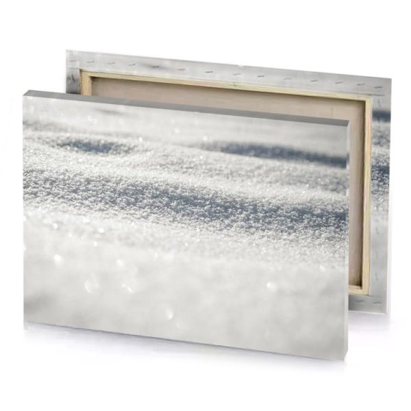 a snow covered surface with bird on top platinum canvas - Image 4