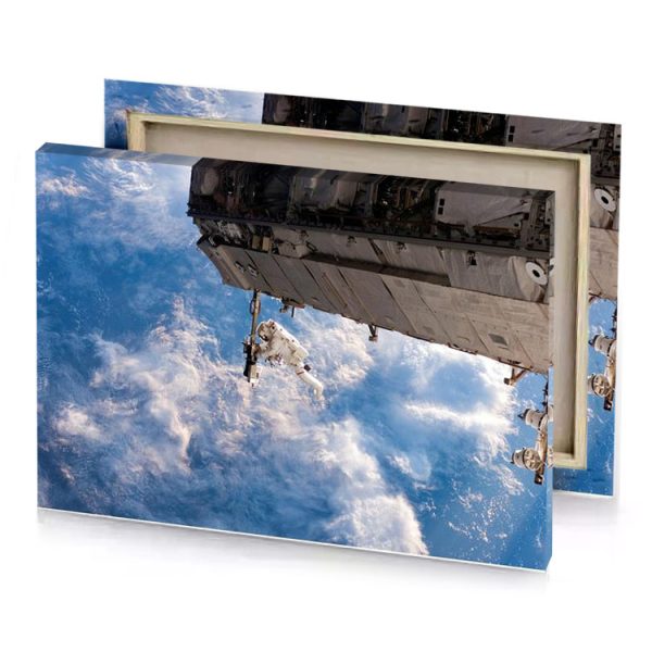 a space station is seen from the shuttle manatee canvas - Image 4