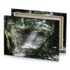 a stream in the forest manatee canvas - Image 4