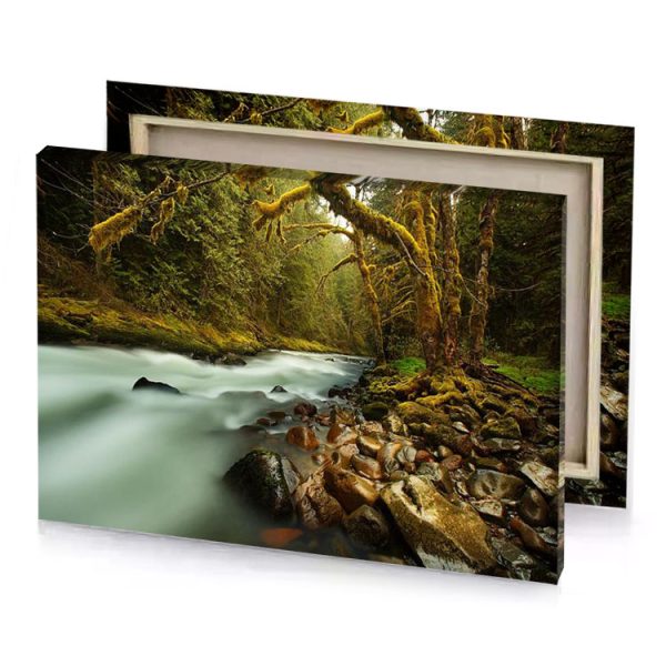 a stream in the middle of forest sepia canvas - Image 4
