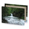 a stream in the woods silver canvas - Image 4