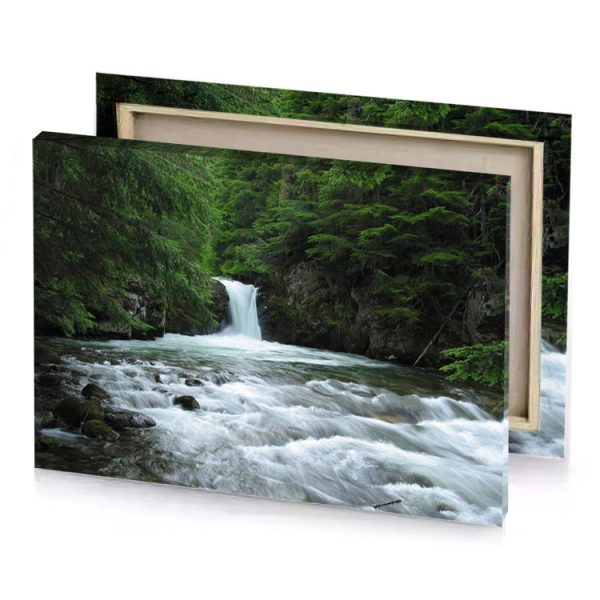 a stream in the woods silver canvas - Image 4