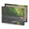 a stream in the woods with rocks and trees gray canvas - Image 4