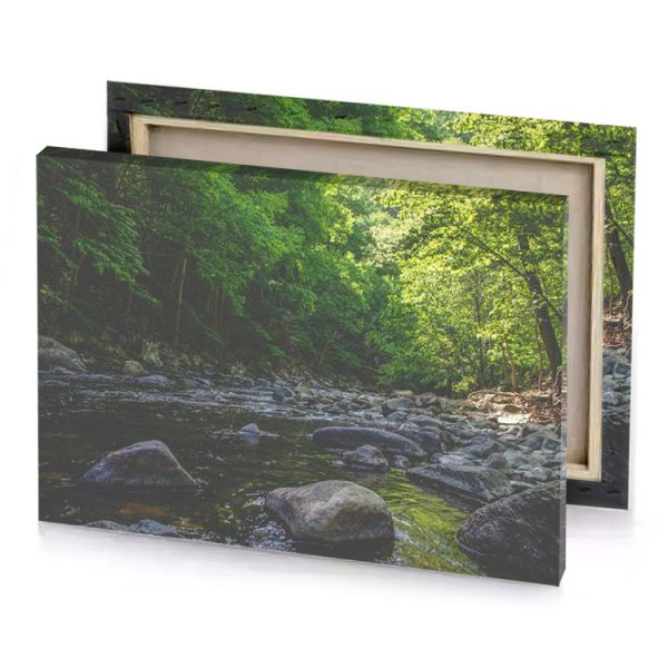 a stream in the woods with rocks and trees gray canvas - Image 4